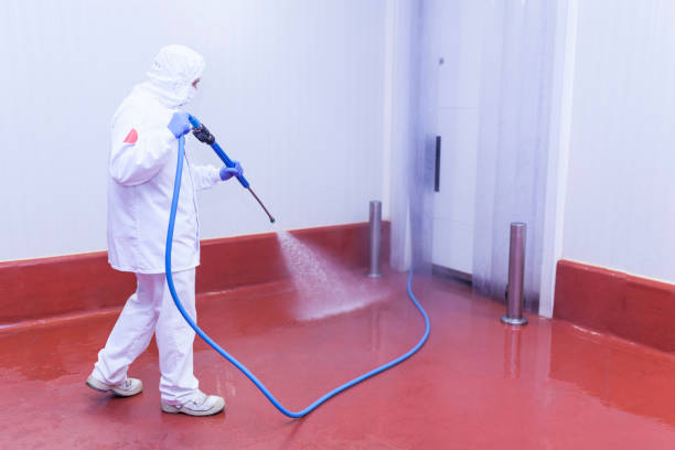 Trusted Fruit Cove, FL Pressure Washing Services Experts